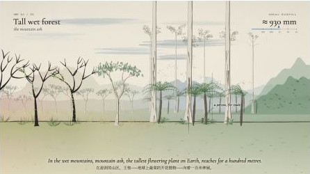 Second frame from the author’s watercolor film. Preserve scientific annotations and their context rather than treating the image as measured field data.